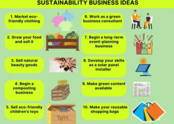 10 Sustainability Business Ideas For 2024 - Sigma Earth